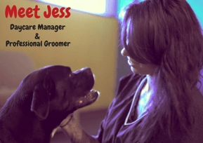 Meet Jess.png