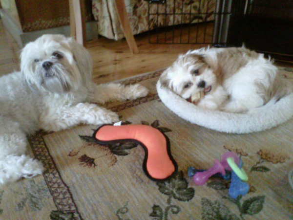 Mickey and Molly resized 600