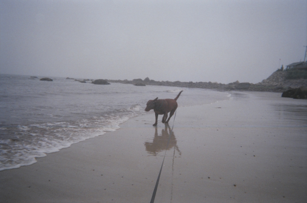 Rory at the Beach