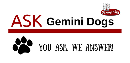 Ask_Gemini_Dogs.1-resized-600.png