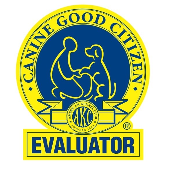CGC-Evaluator