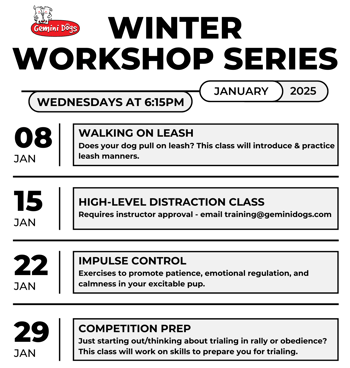 Copy of Black and White Simple Weekly Schedule Flyer