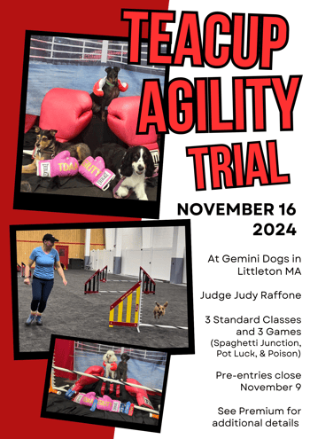 Teacup Trial Flyer