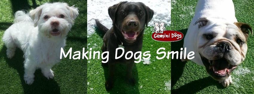 makingdogssmile.jpg makingdogssmile.jpg