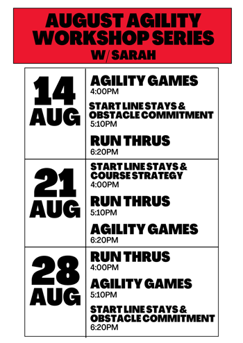 sarahs agility workshops