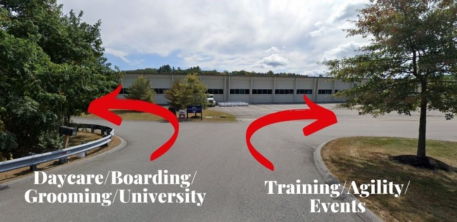 DaycareBoarding GroomingUniversity DaycareBoarding GroomingUniversity