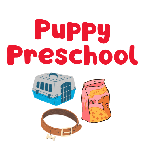 Puppy Playschool (2)
